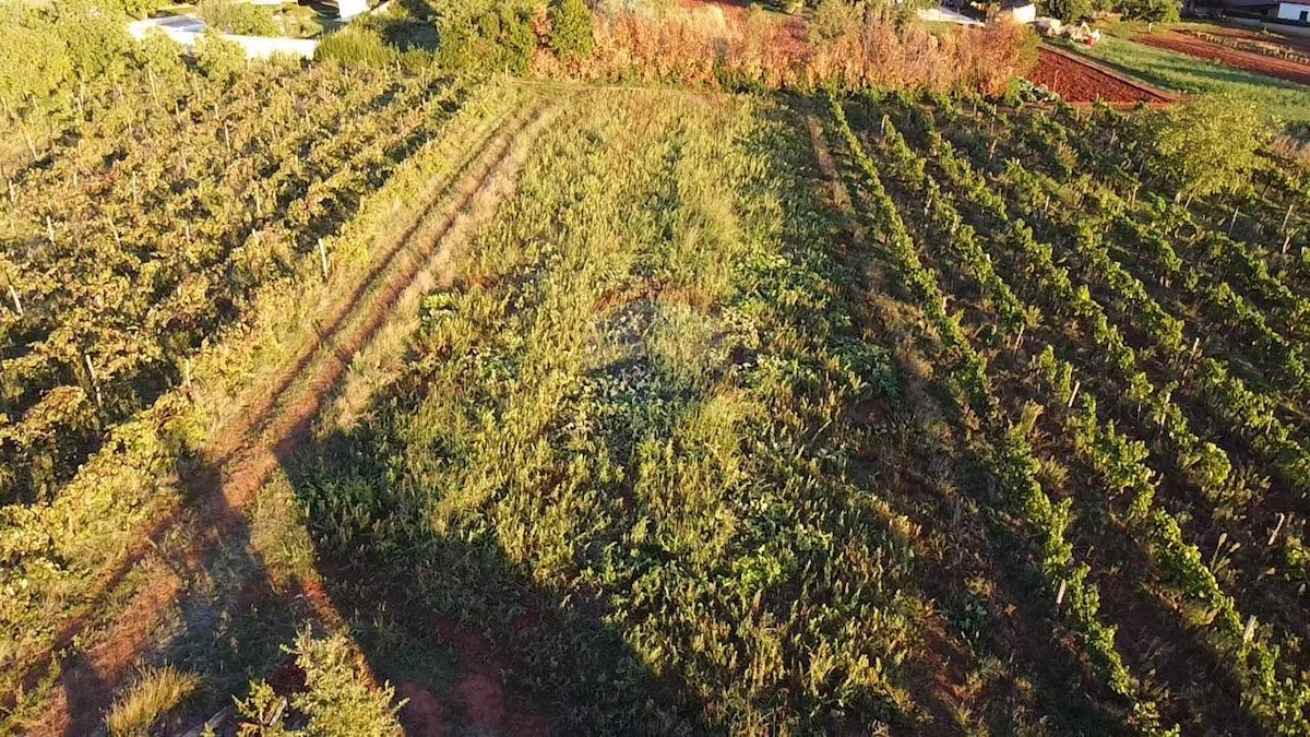 Terreno edificabile Kaštelir, Kaštelir-Labinci, 1.500m2