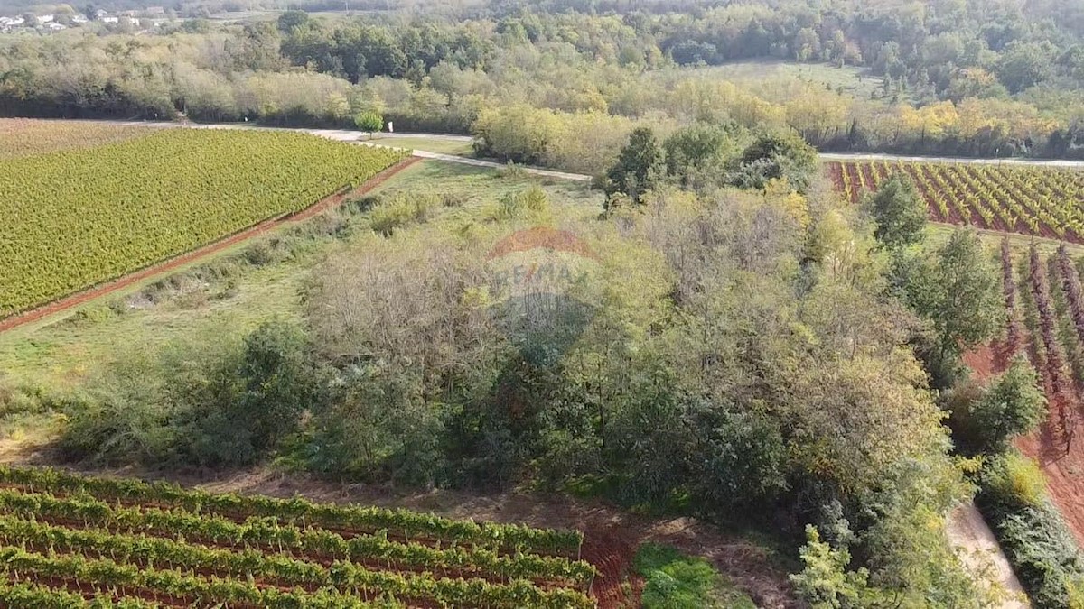 Terreno non edificabile Vižinada, 8.200m2