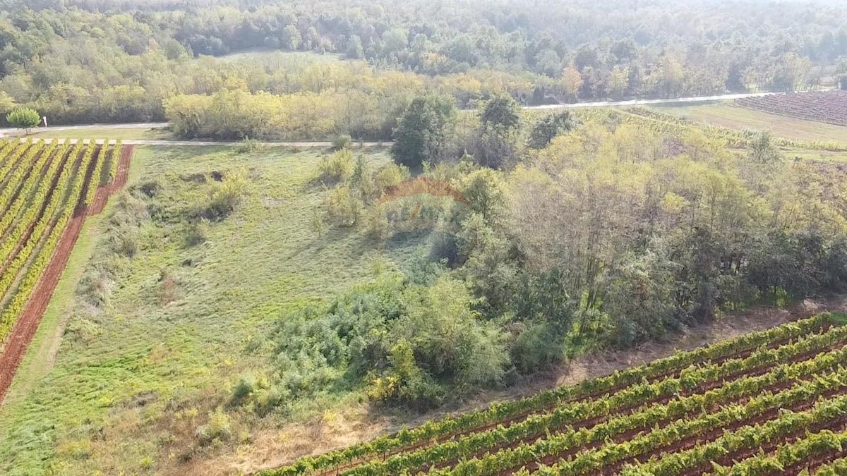 Terreno non edificabile Vižinada, 8.200m2