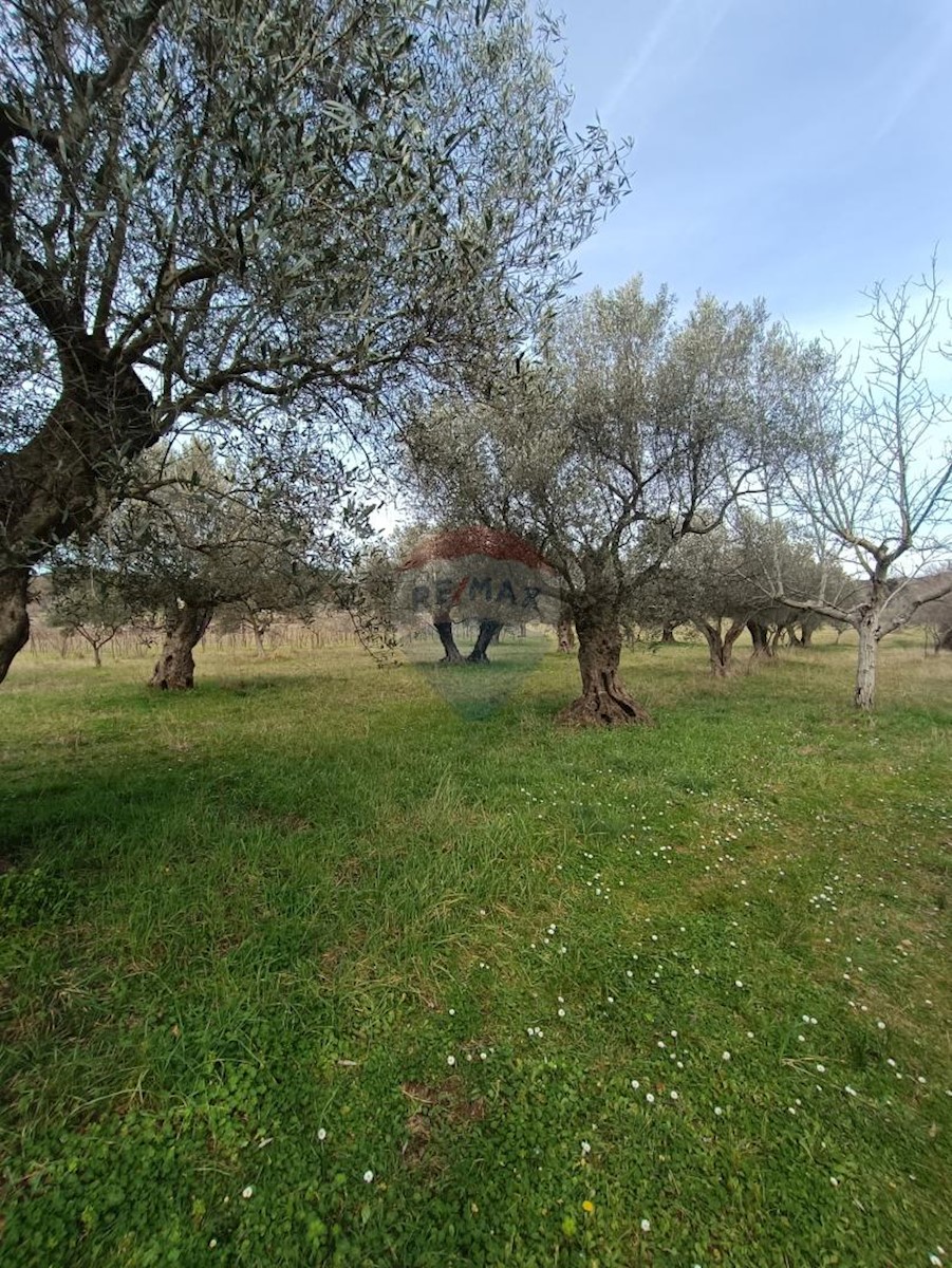 Terreno non edificabile Rovinj, 4.380m2