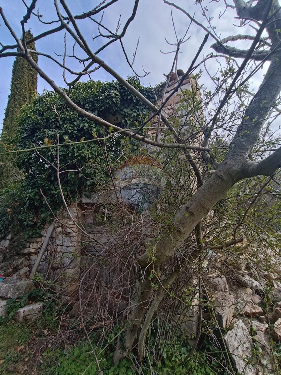 Terreno non edificabile Rovinj, 4.380m2