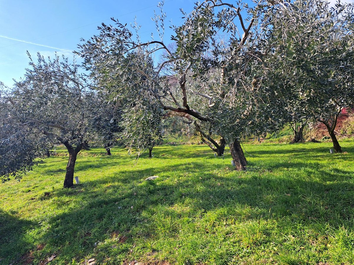 Terreno non edificabile Mošćenice, Mošćenička Draga, 1.605m2