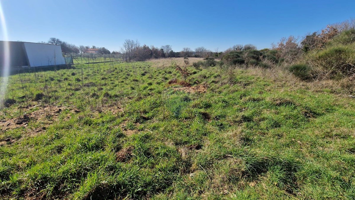 Terreno non edificabile Ližnjan, 6.042m2