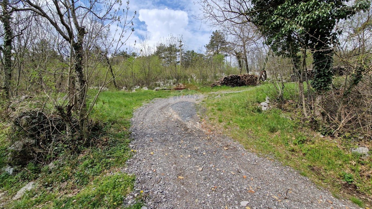 Terreno edificabile Ročko Polje, Buzet, 8.323m2