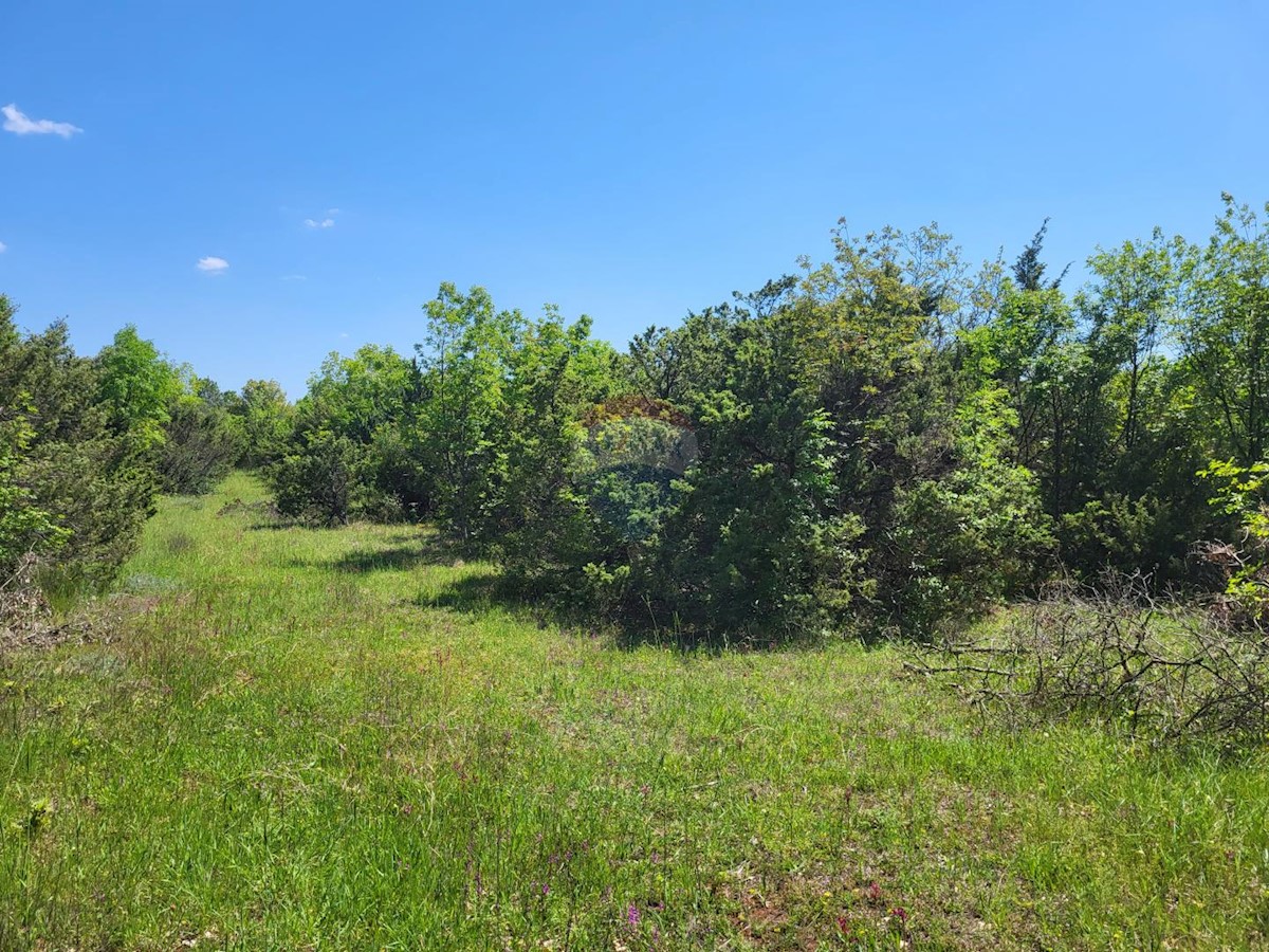 Terreno non edificabile Batvači, Vodnjan, 6.393m2