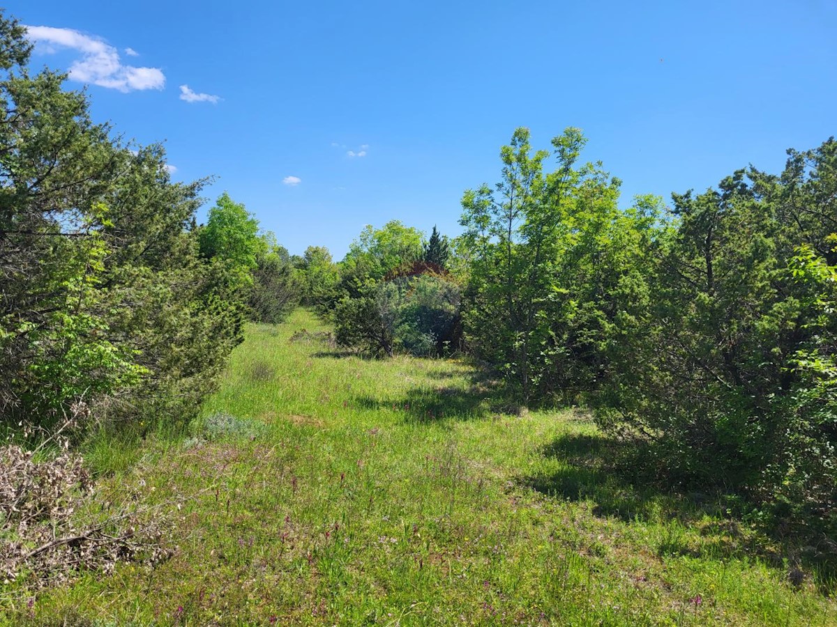 Terreno non edificabile Batvači, Vodnjan, 6.393m2