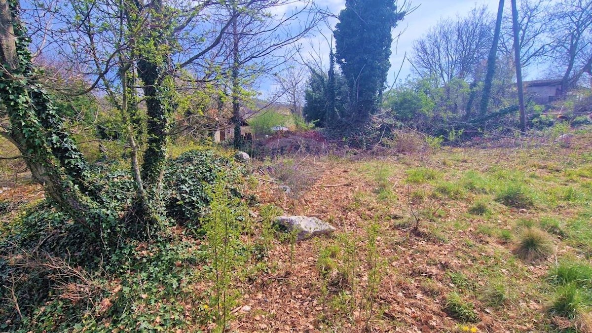Terreno edificabile Trviž, Pazin - Okolica, 3.465m2