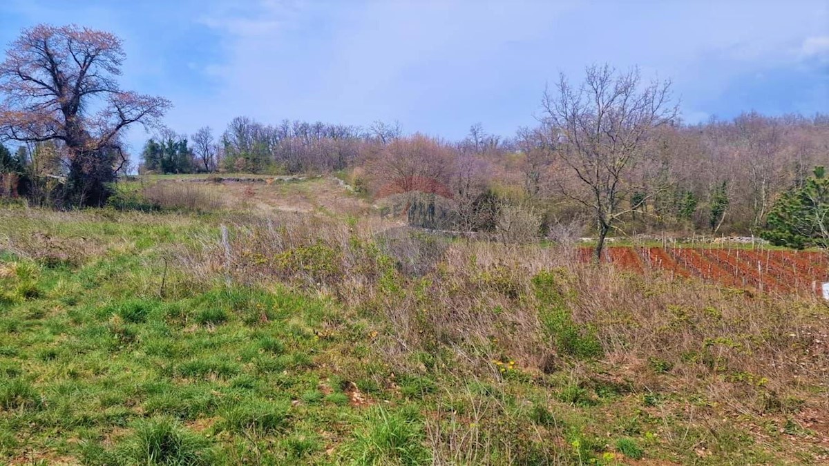 Terreno edificabile Trviž, Pazin - Okolica, 3.465m2