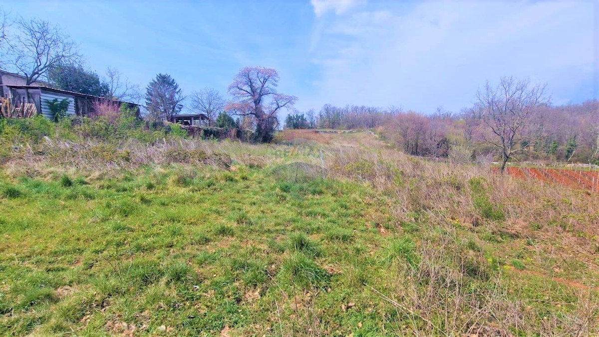 Terreno edificabile Trviž, Pazin - Okolica, 3.465m2