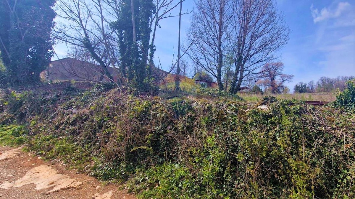 Terreno edificabile Trviž, Pazin - Okolica, 3.465m2