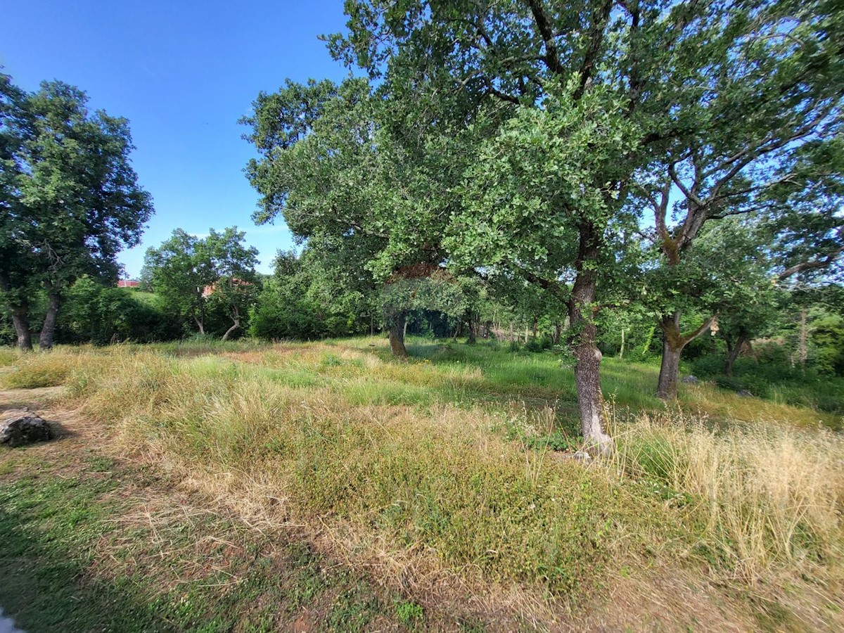 Villa Singola/Casa Vacanza Stranići kod Lovreča, Sveti Lovreč, 120m2