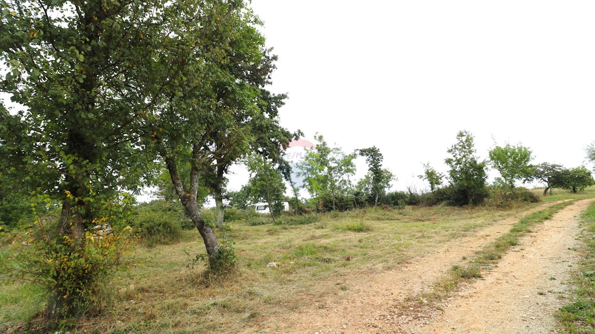 Terreno edificabile Sveti Lovreč, 588m2