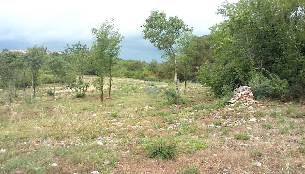 Terreno edificabile Kaštel, Buje, 1.065m2