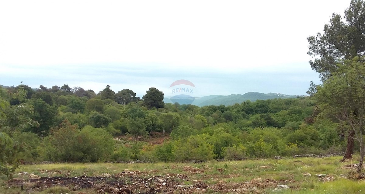 Terreno edificabile Kaštel, Buje, 1.065m2