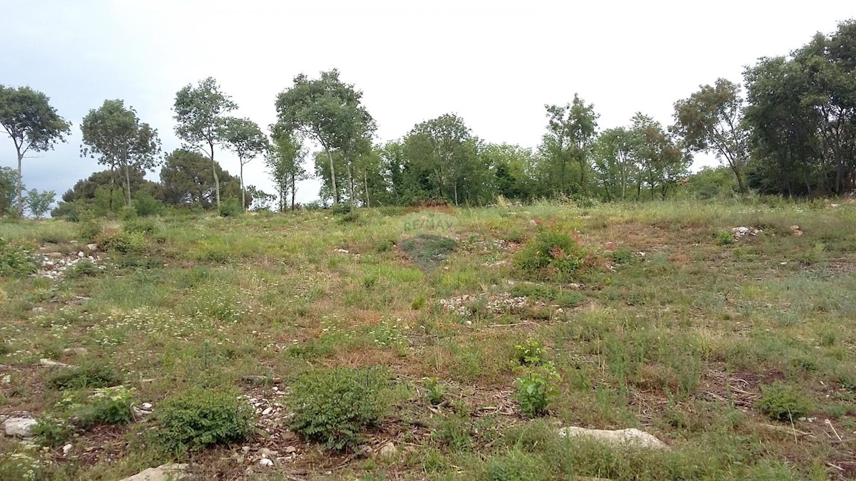 Terreno edificabile Kaštel, Buje, 1.065m2