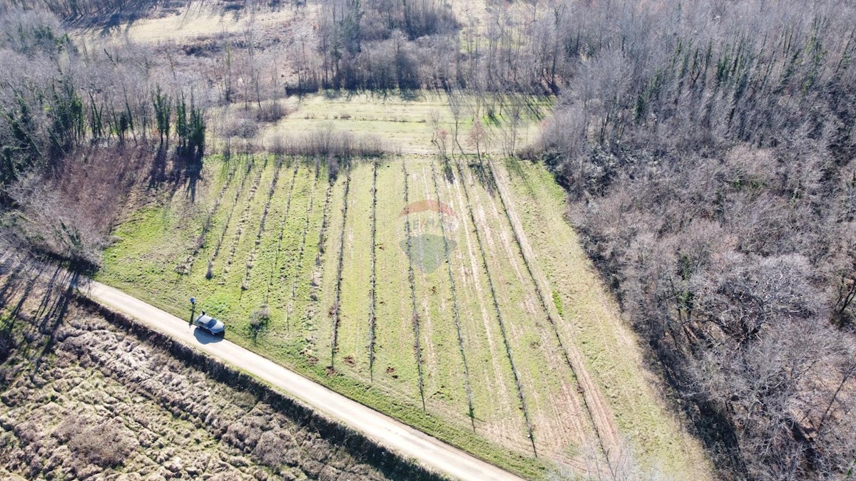 Terreno edificabile Labin, 5.750m2