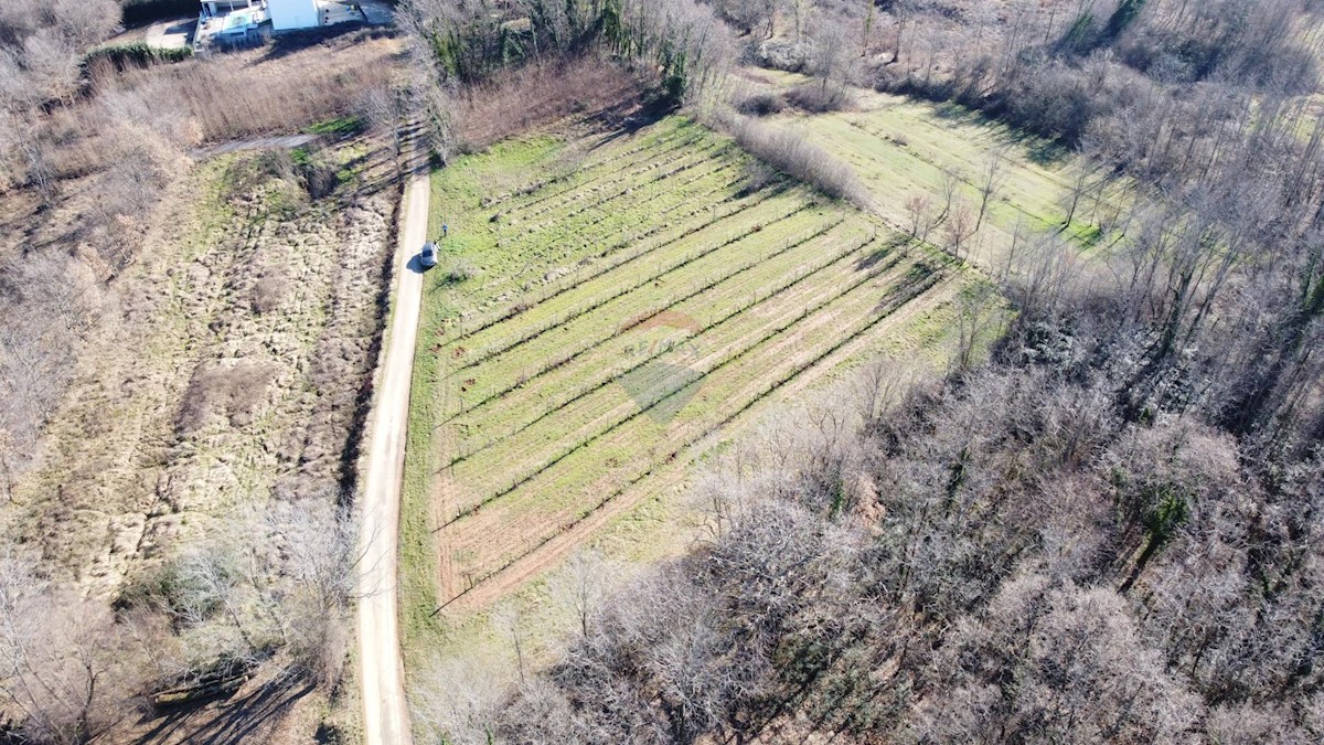 Terreno edificabile Labin, 5.750m2