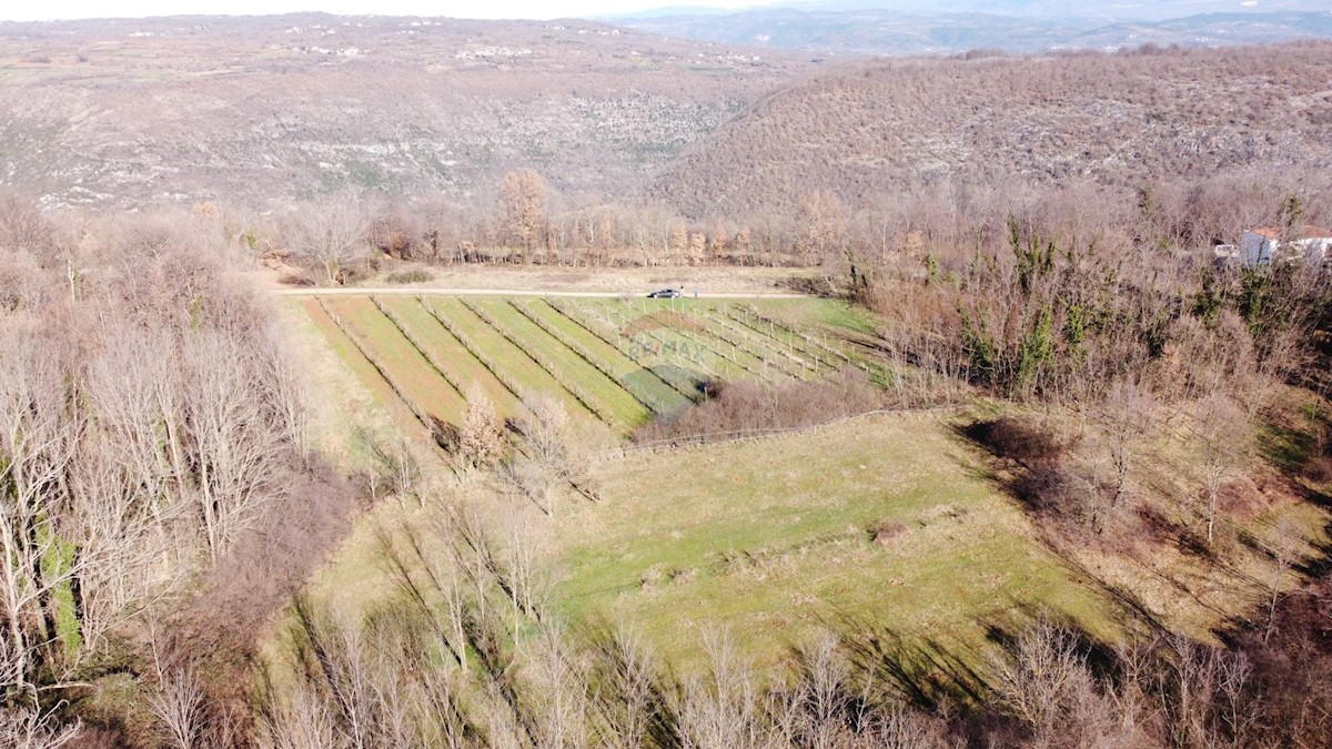 Terreno edificabile Labin, 5.750m2