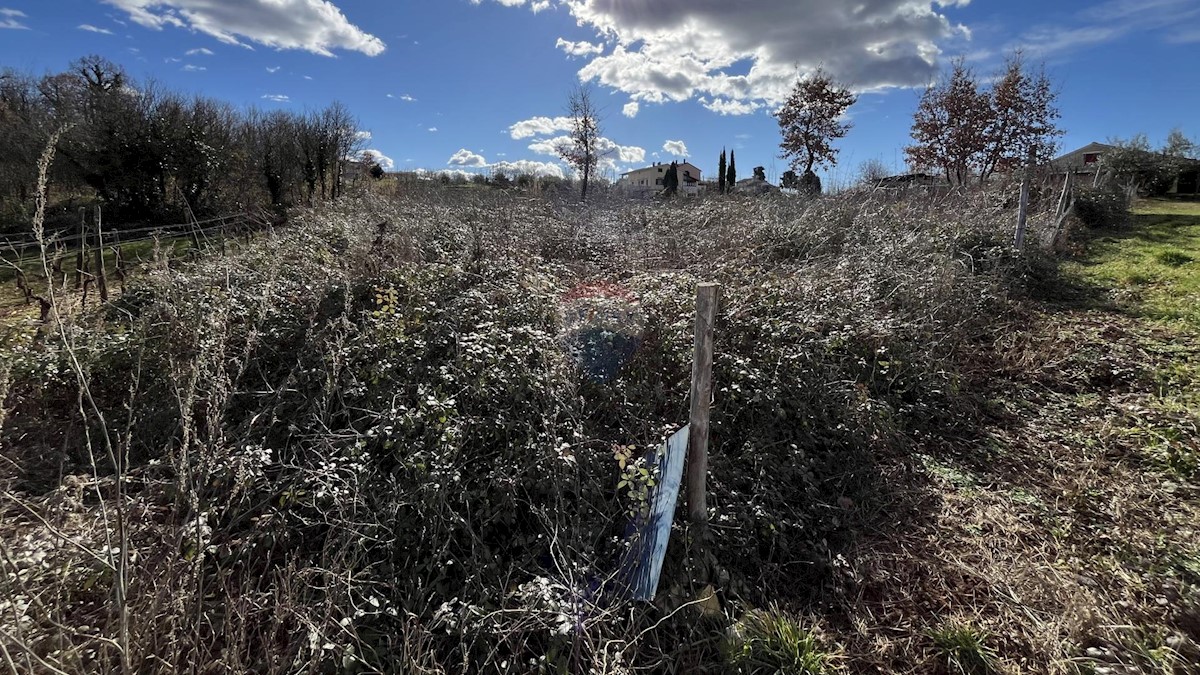 Terreno edificabile Vrh Lašići, Vižinada, 1.045m2