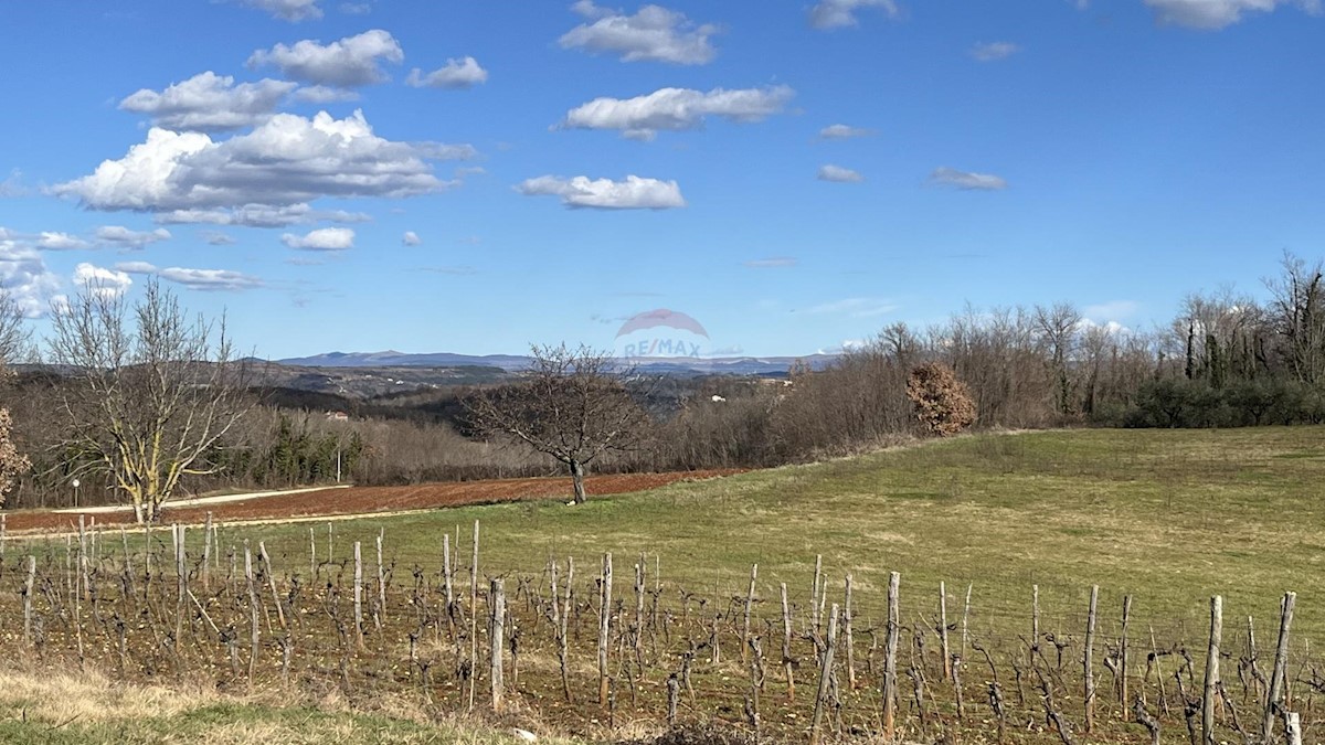 Terreno edificabile Vrh Lašići, Vižinada, 1.045m2