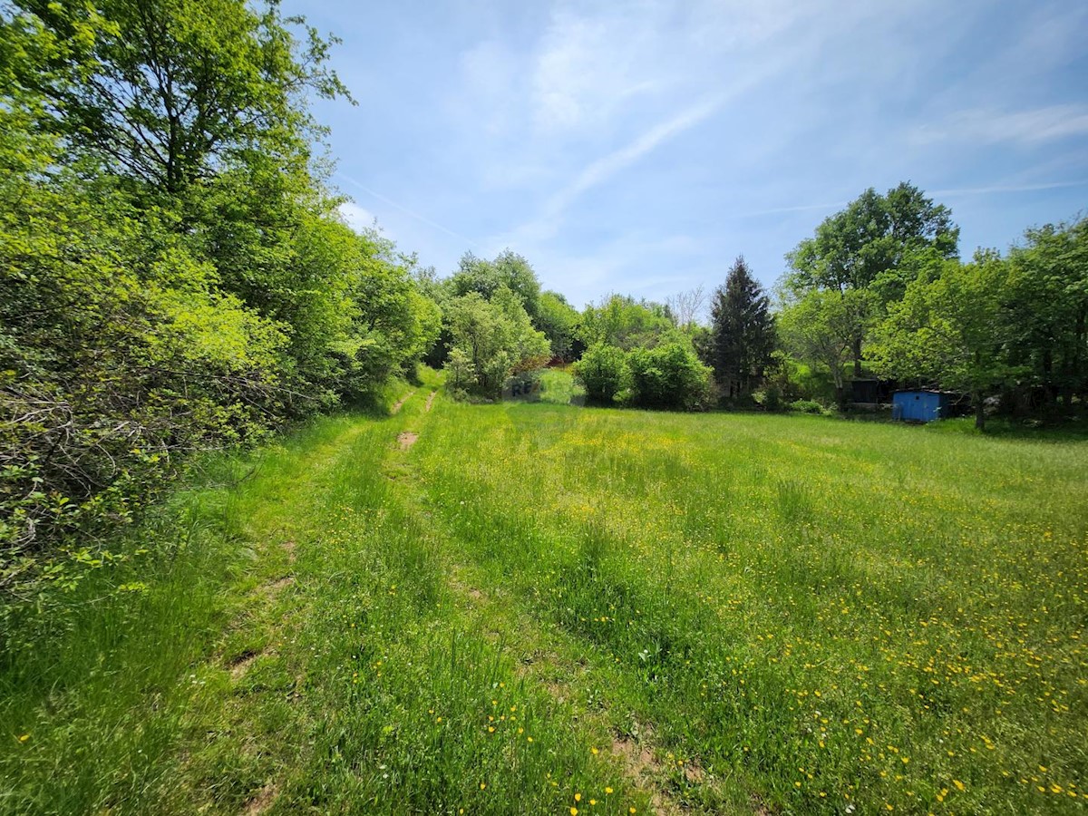 Terreno non edificabile Gambetići, Višnjan, 19.430m2