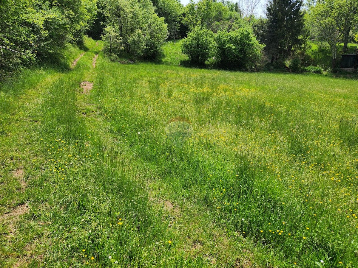 Terreno non edificabile Gambetići, Višnjan, 19.430m2