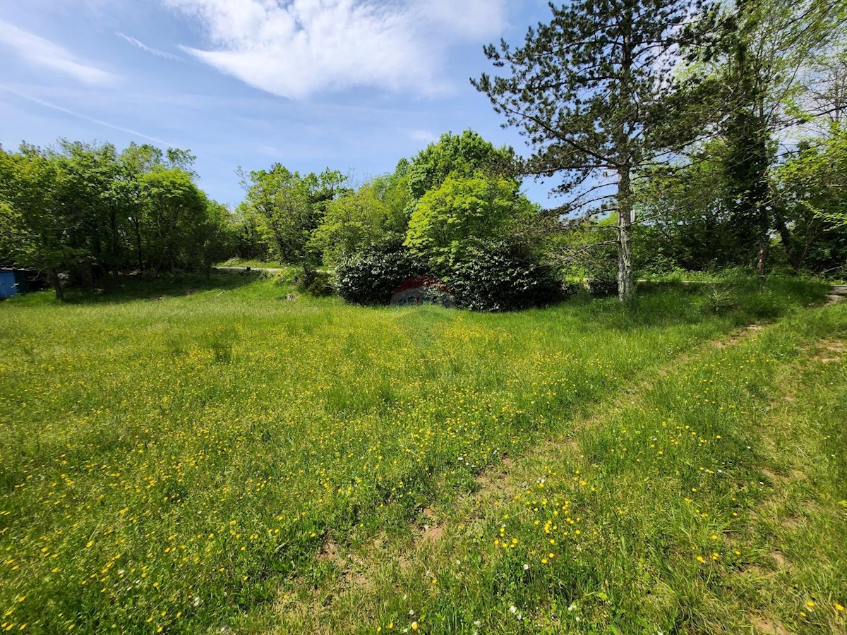 Terreno non edificabile Gambetići, Višnjan, 19.430m2