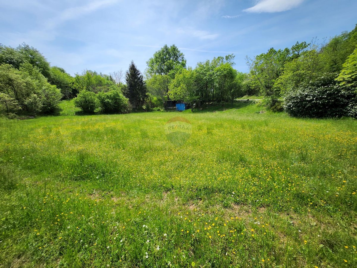 Terreno non edificabile Gambetići, Višnjan, 19.430m2