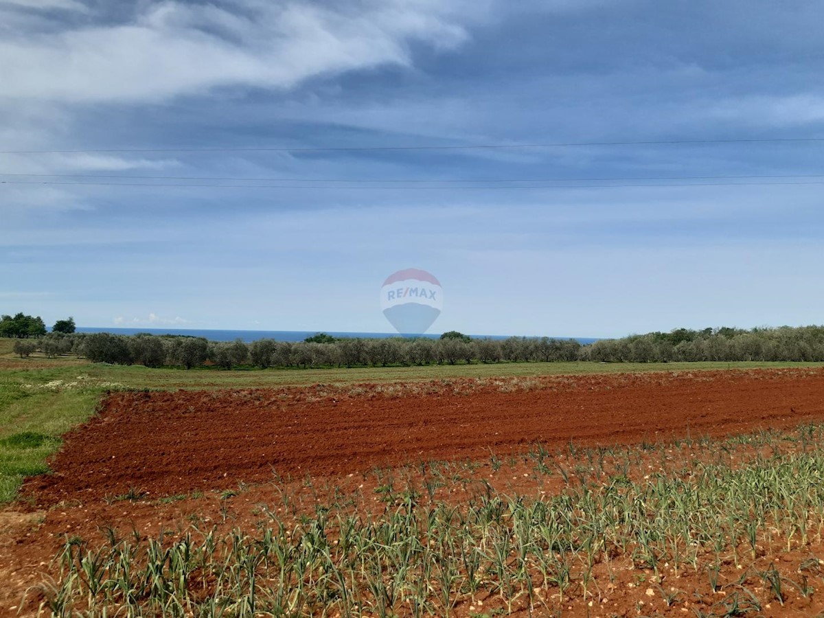 Terreno edificabile Labinci, Kaštelir-Labinci, 796m2