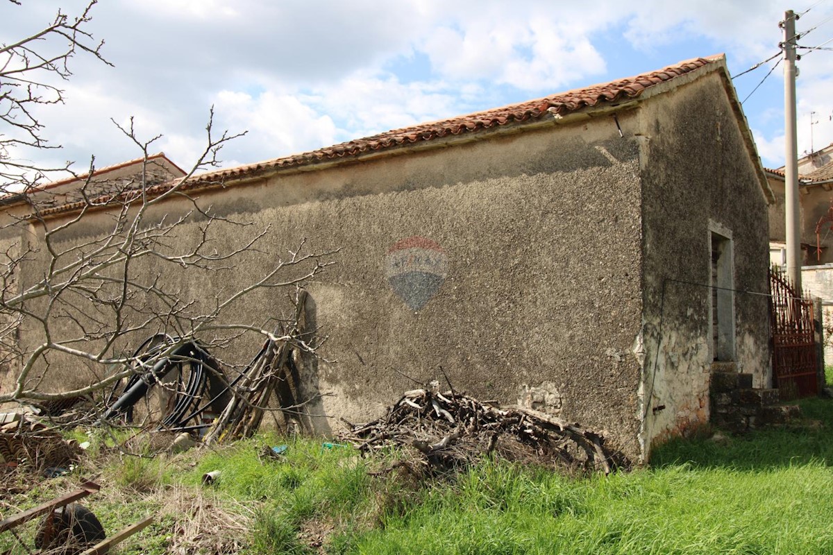 Casa Perini, Sveti Lovreč, 240m2
