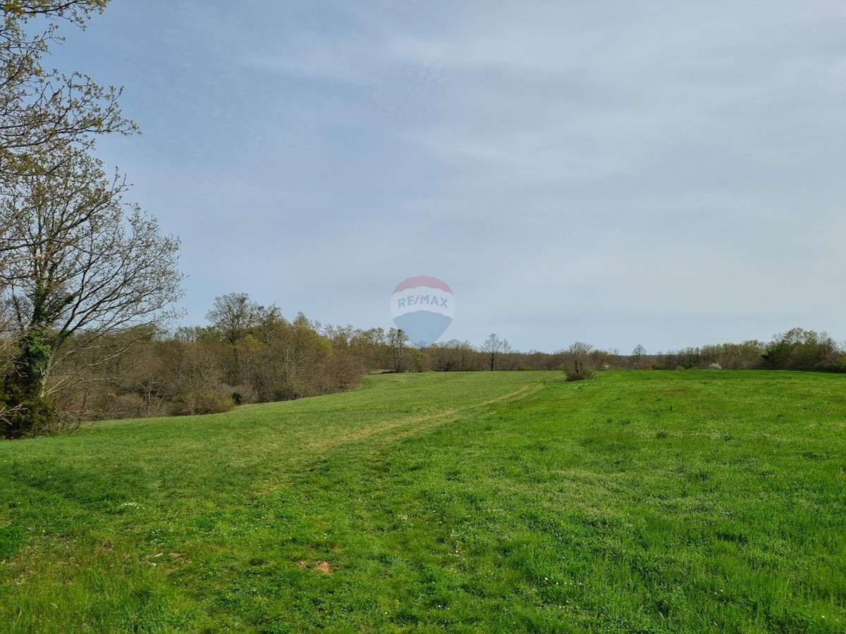 Terreno edificabile Žminj, 2.204m2