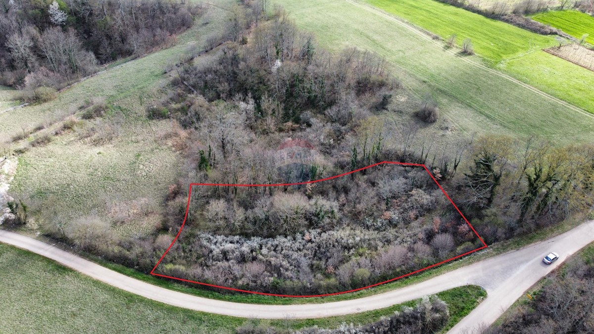 Terreno edificabile Žminj, 2.204m2