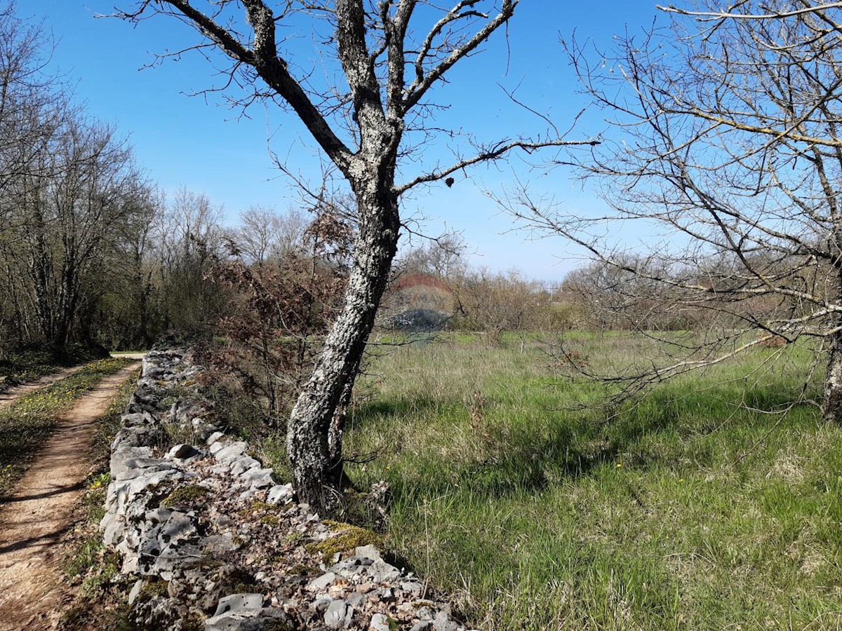 Terreno edificabile Sveti Petar u Šumi, Sveti Petar U Šumi, 2.500m2