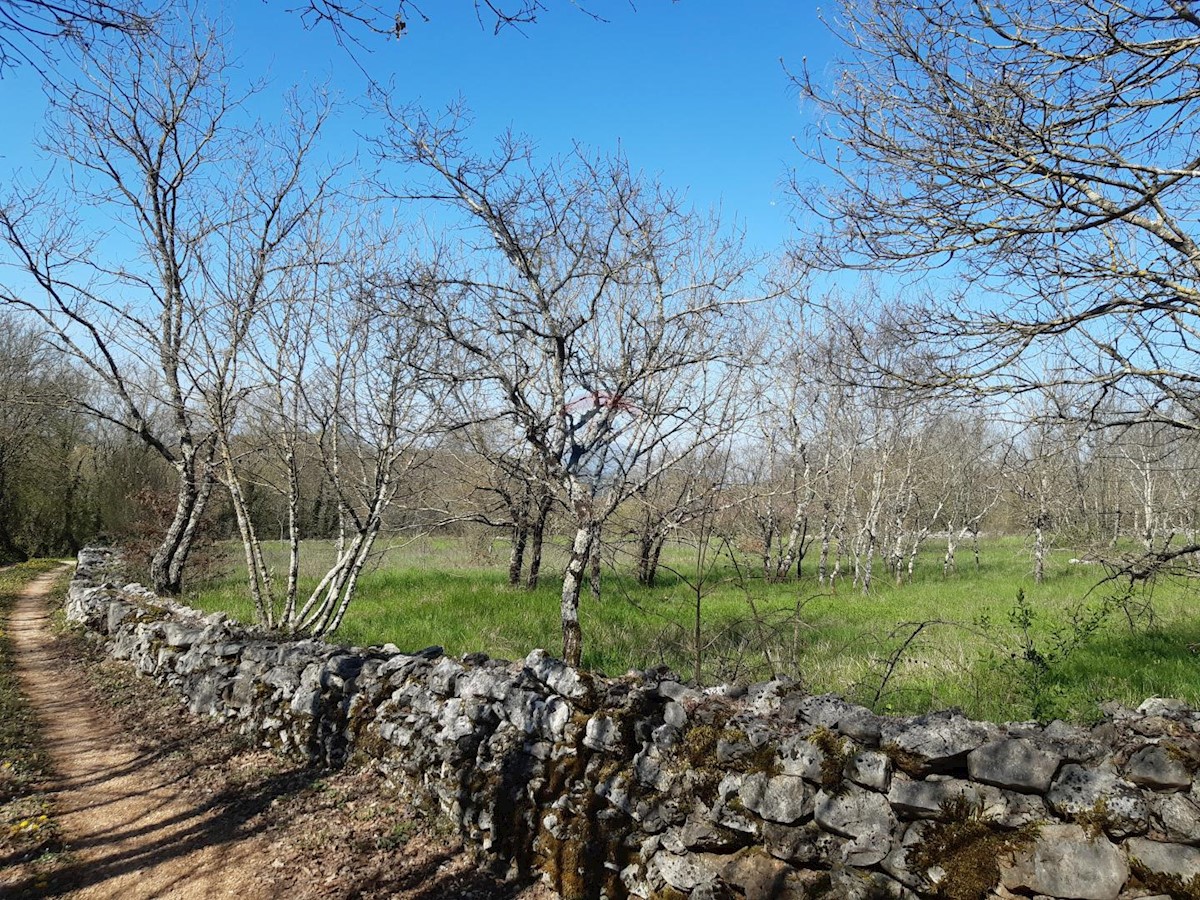 Terreno edificabile Sveti Petar u Šumi, Sveti Petar U Šumi, 2.500m2