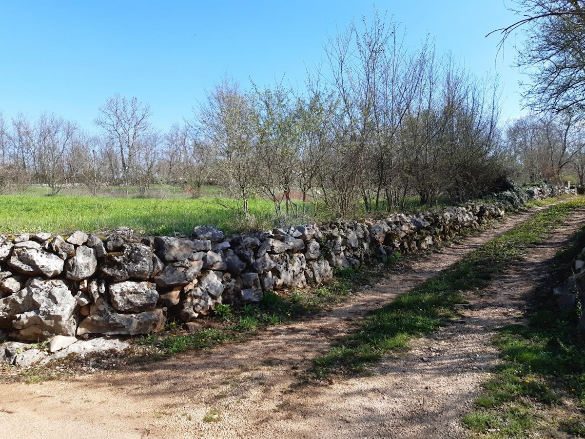 Terreno edificabile Sveti Petar u Šumi, Sveti Petar U Šumi, 2.500m2