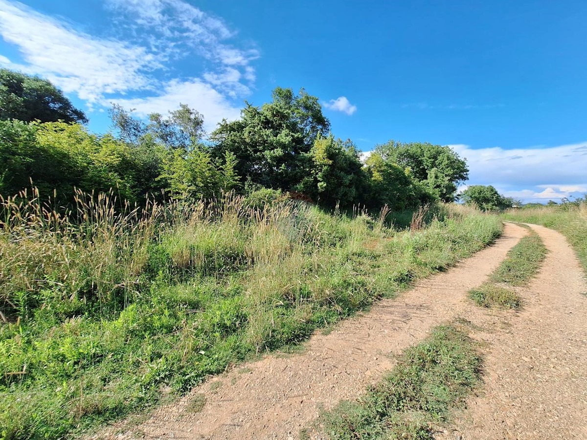 Terreno non edificabile Šišan, Ližnjan, 7.355m2