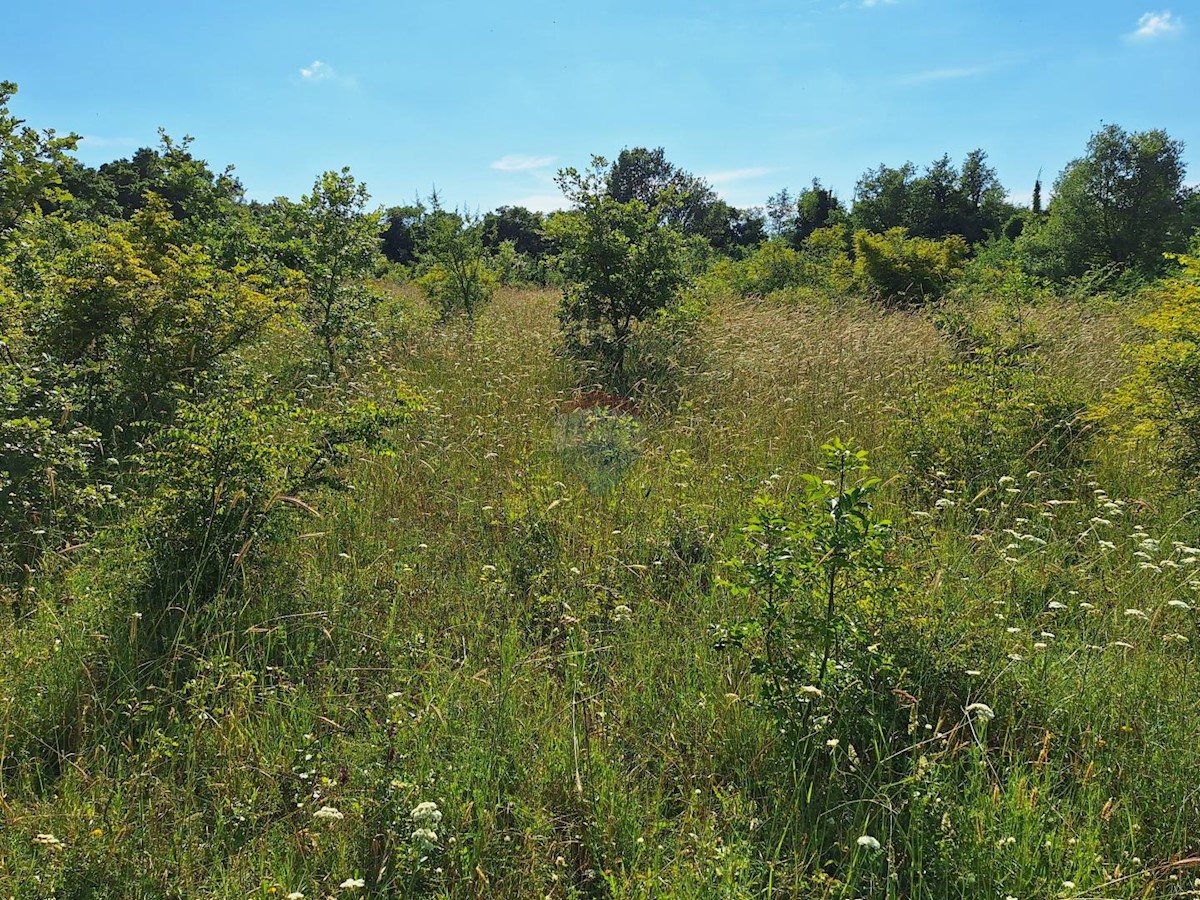 Terreno non edificabile Šišan, Ližnjan, 7.355m2