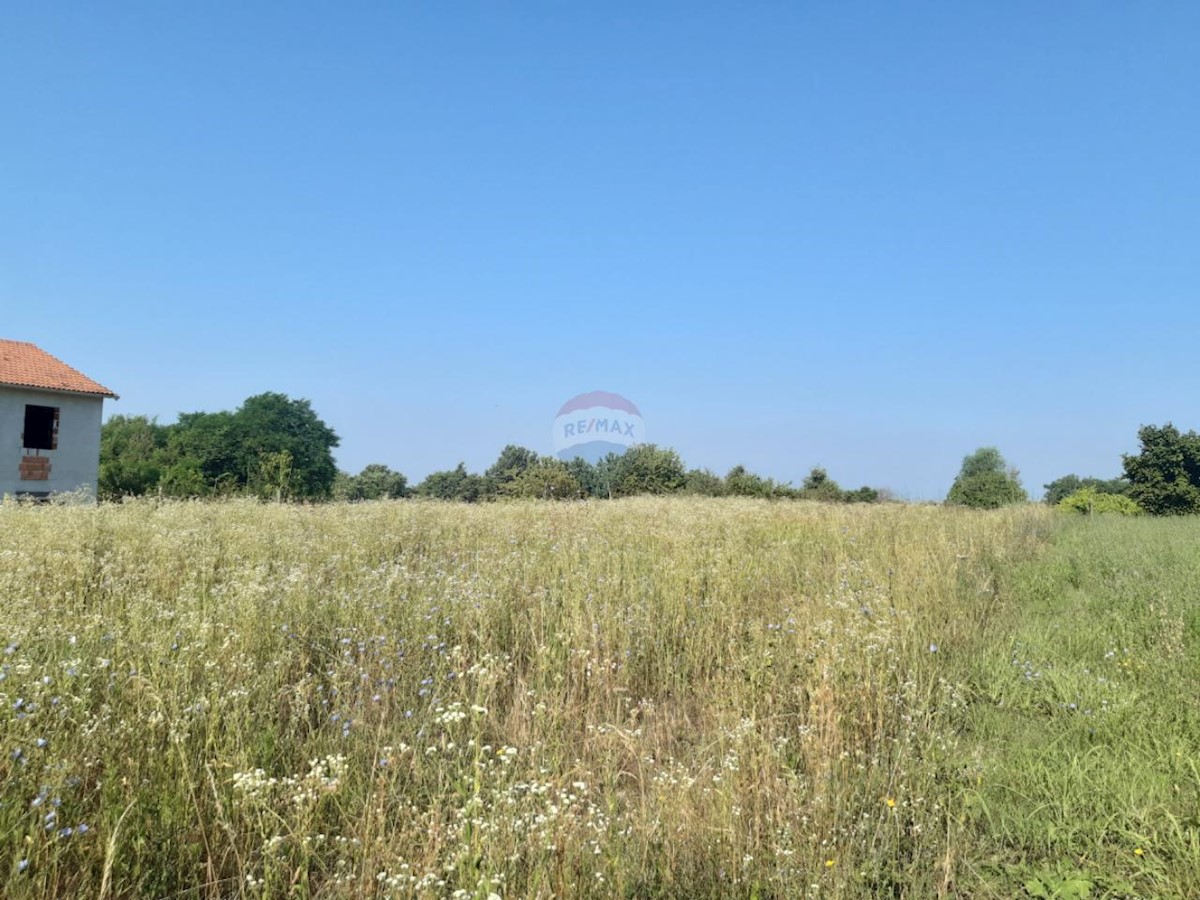 Terreno edificabile Žminj, 9.041m2