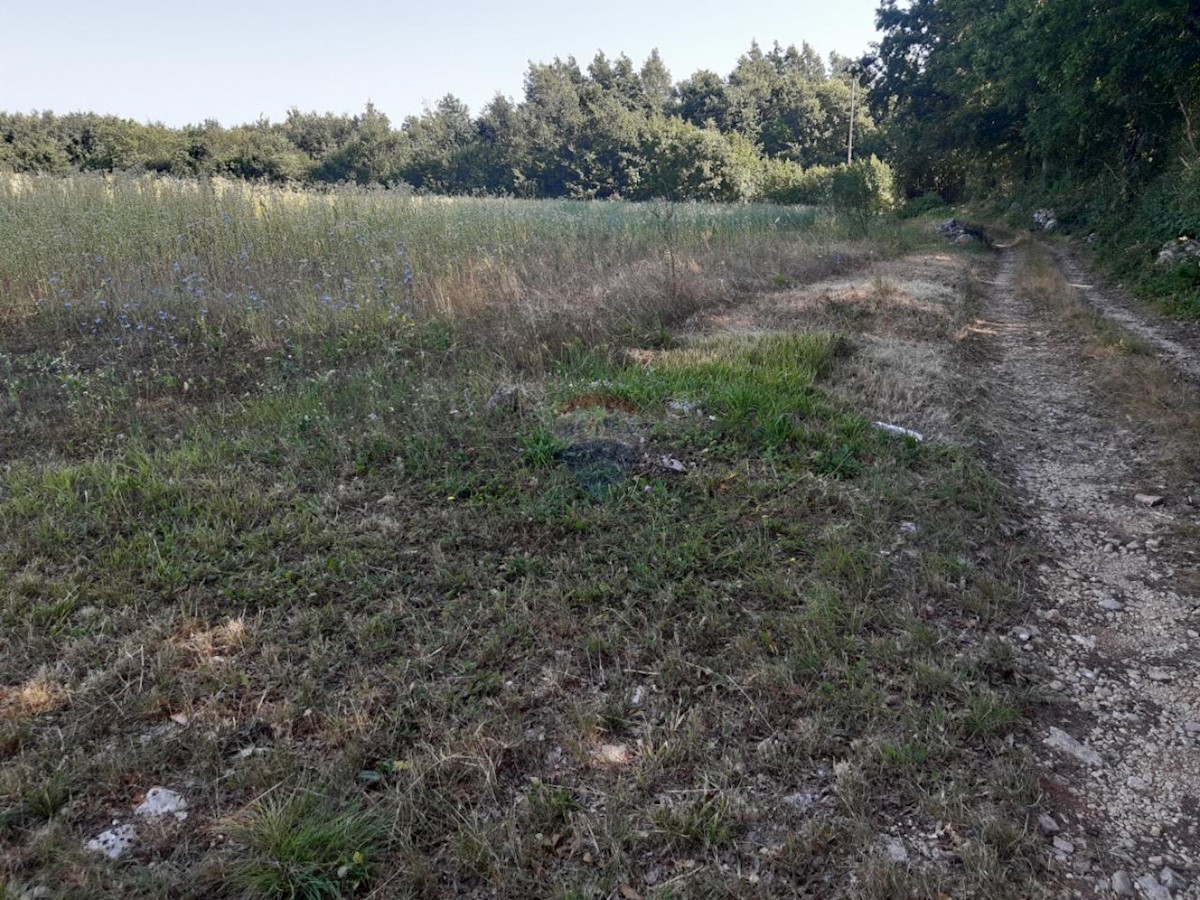 Terreno edificabile Žminj, 9.041m2