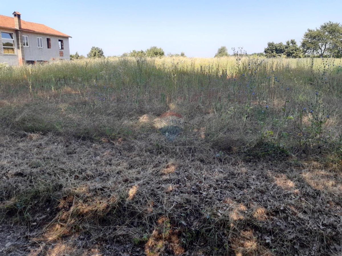 Terreno edificabile Žminj, 9.041m2