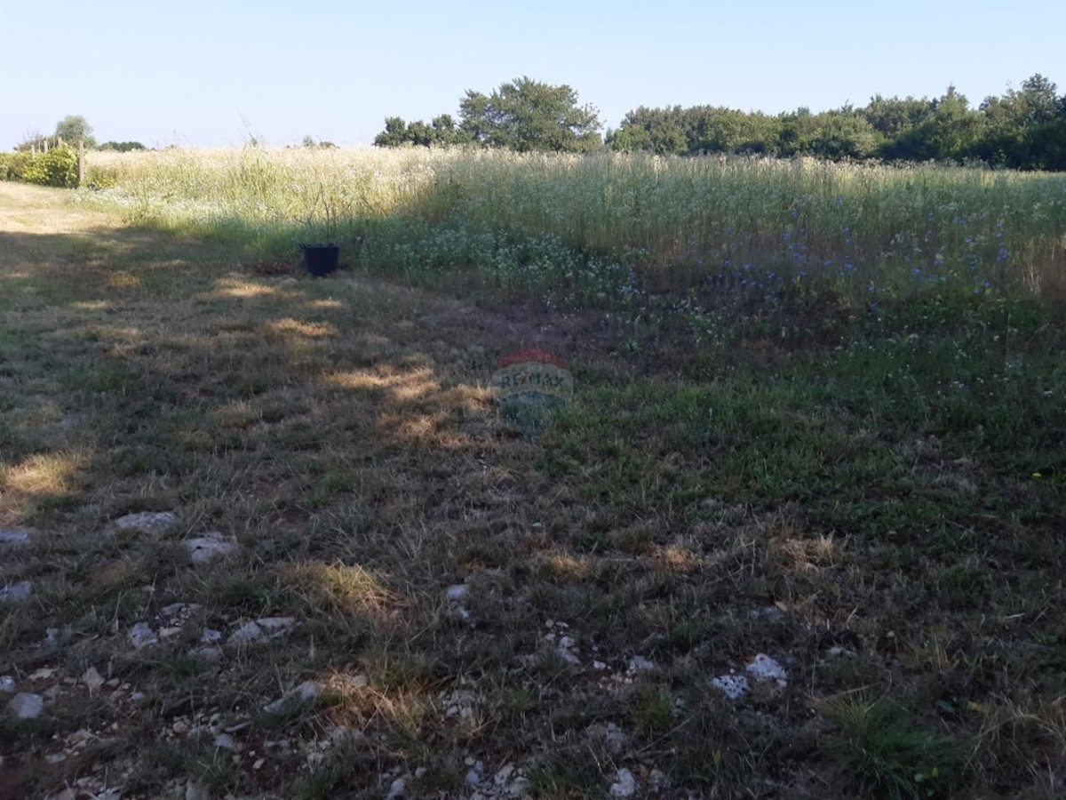 Terreno edificabile Žminj, 9.041m2