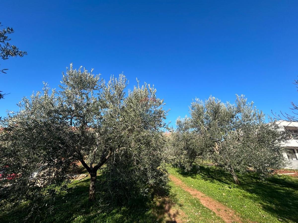 Terreno edificabile Kaštelir, Kaštelir-Labinci, 1.000m2