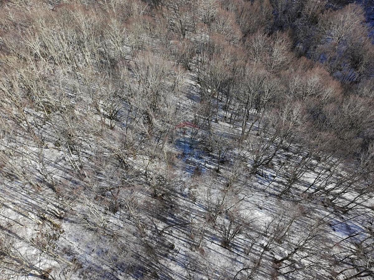 Vodoteč, Brinje – Casa per cacciatori con 8 ettari di terreno