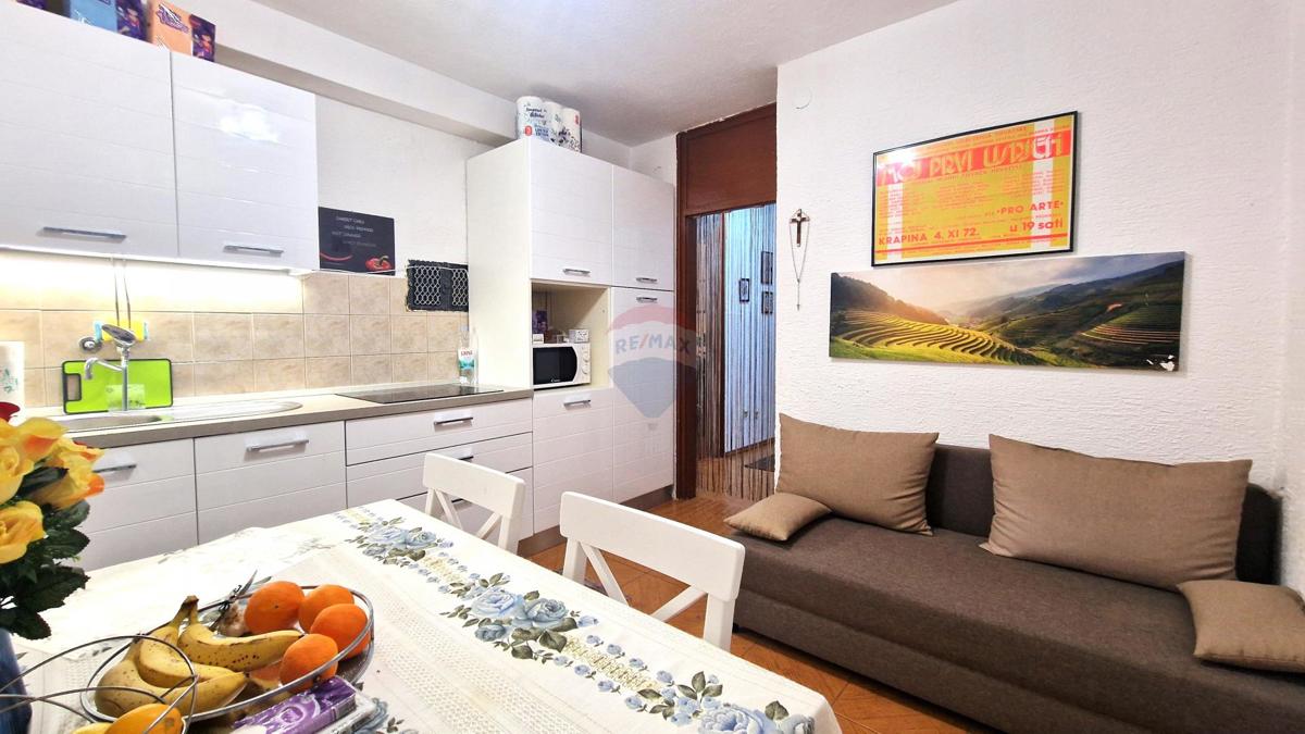 Appartamento Gradinje, Oprtalj, 51,73m2