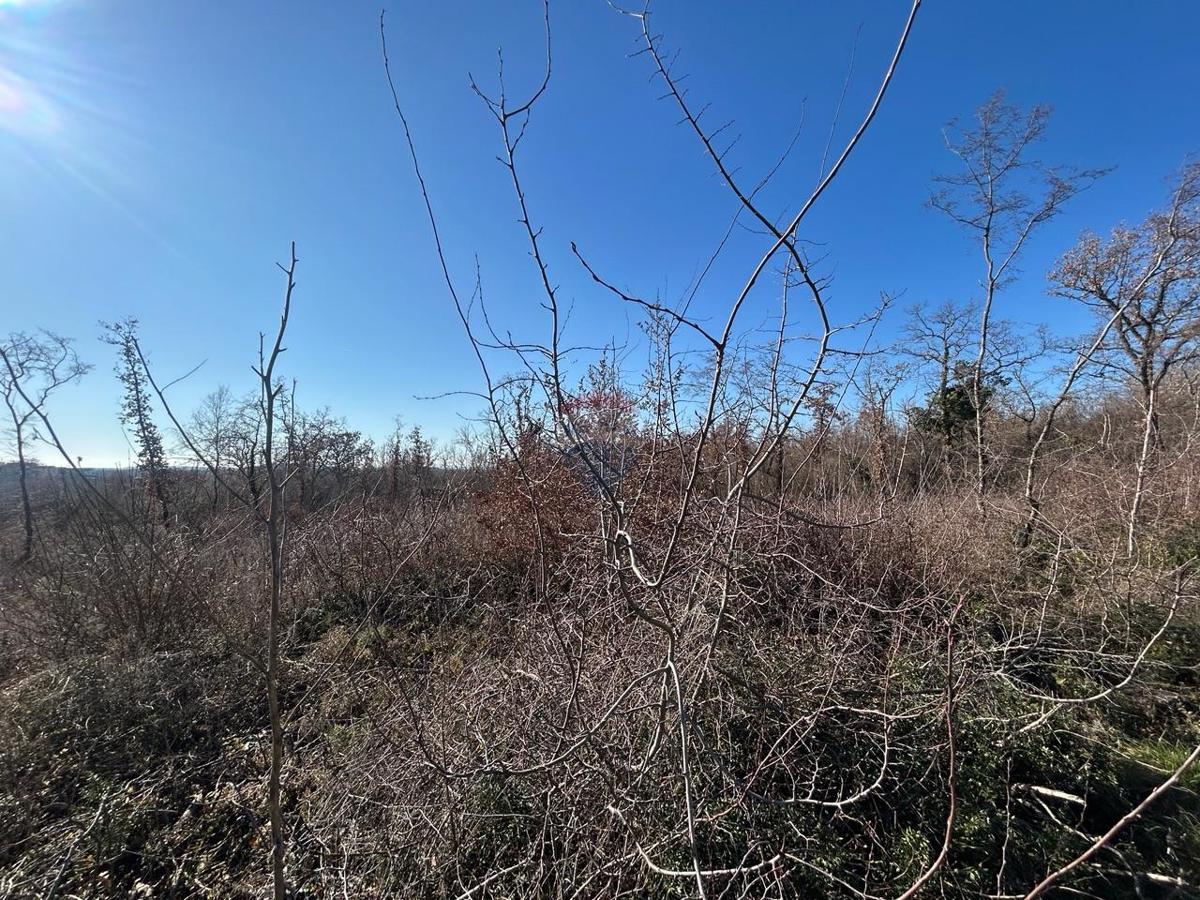 Terreno non edificabile Šušnjići, Poreč, 17.353m2
