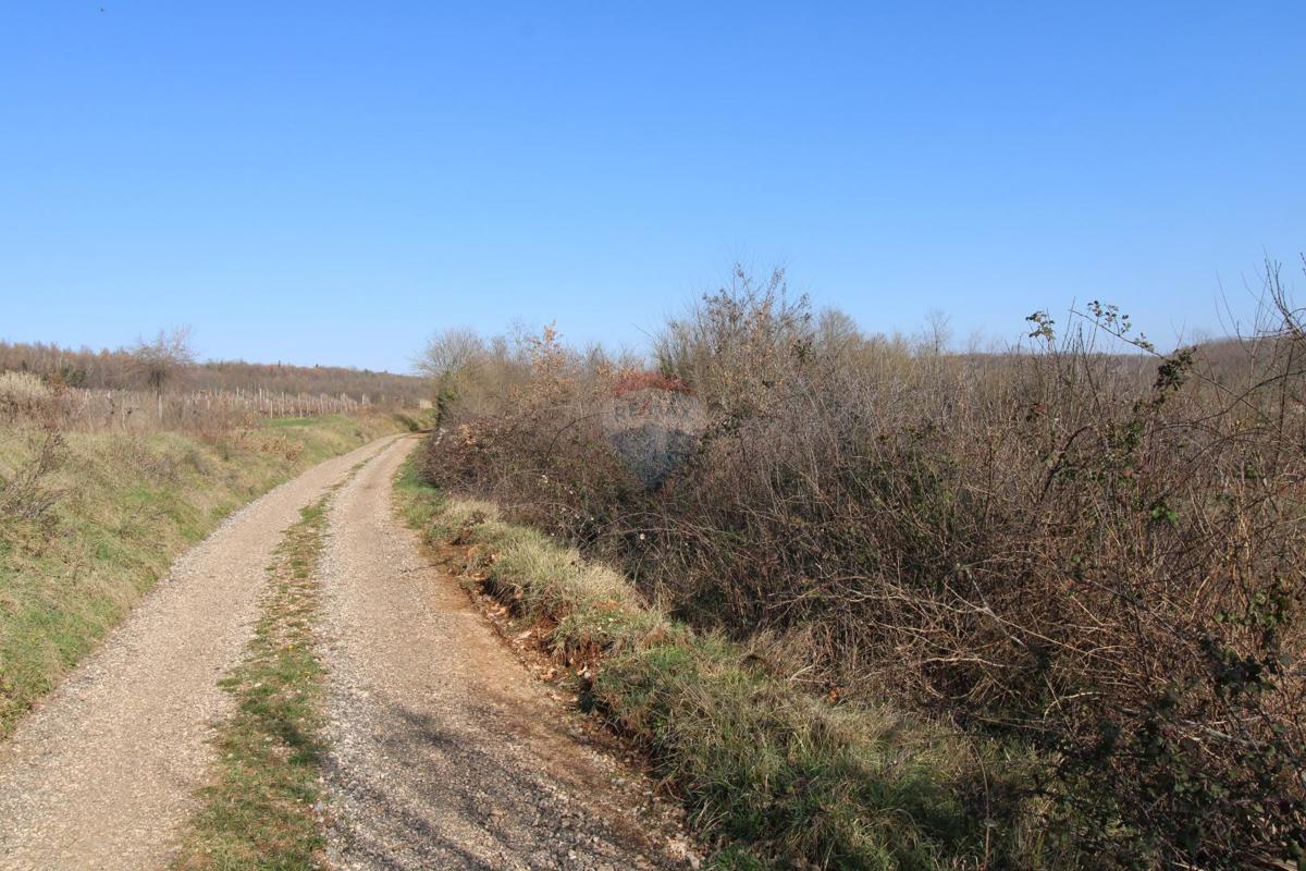 Terreno edificabile Velići, Vižinada, 3.006m2