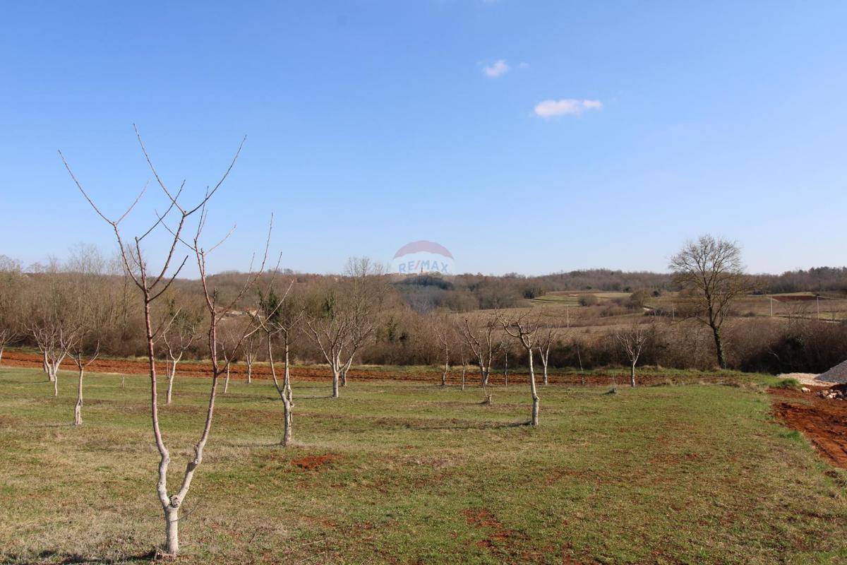 Terreno edificabile Velići, Vižinada, 3.006m2