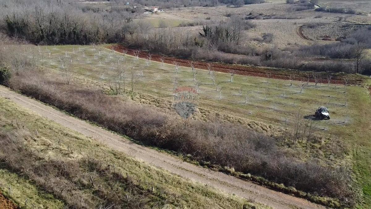 Terreno edificabile Velići, Vižinada, 3.006m2