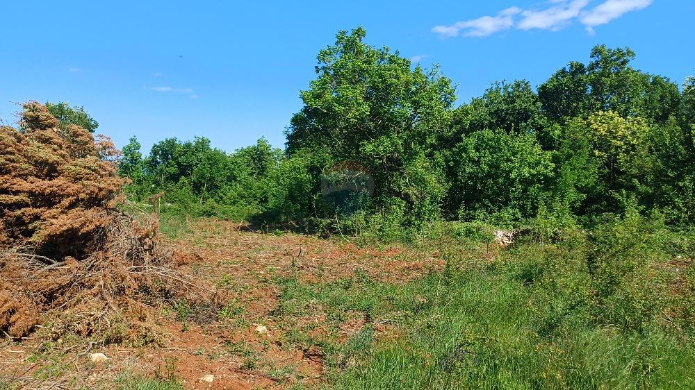 Terreno edificabile Belavići, Marčana, 1.085m2