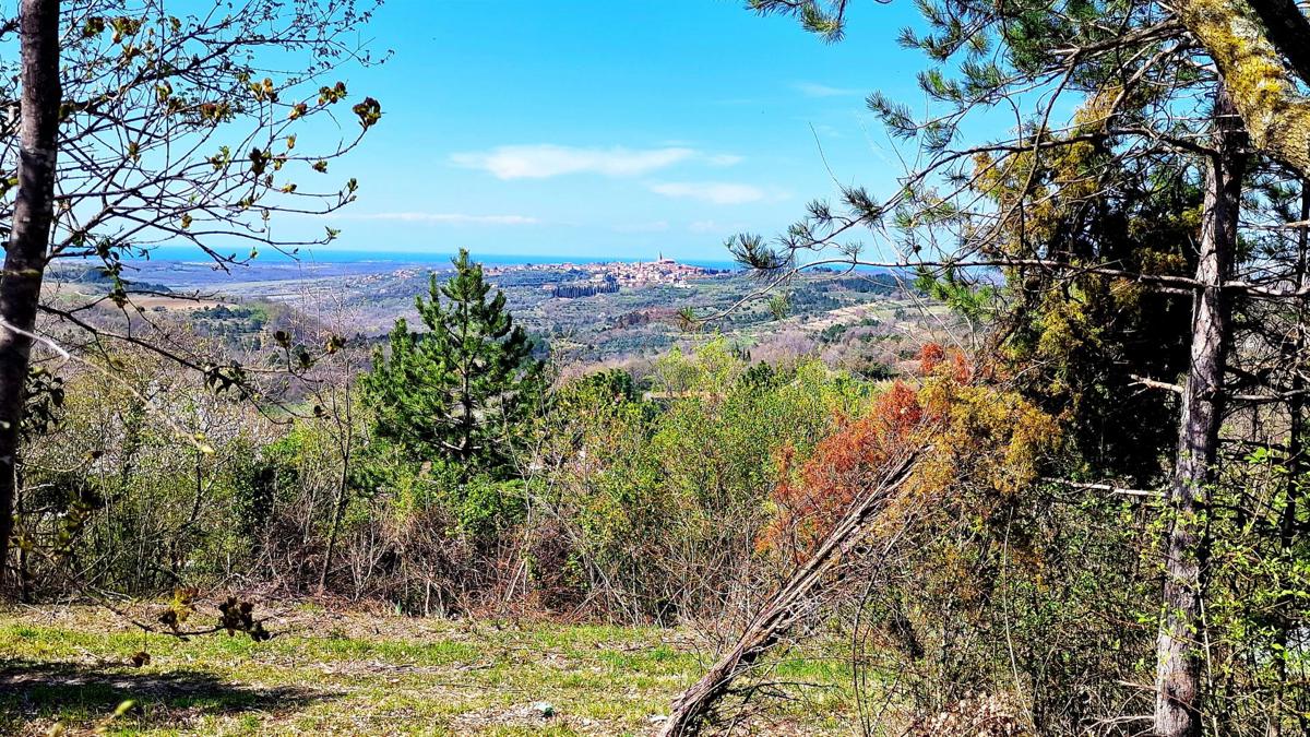 Terreno edificabile Krasica, Buje, 898m2